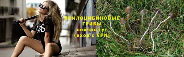 МДПВ Касимов