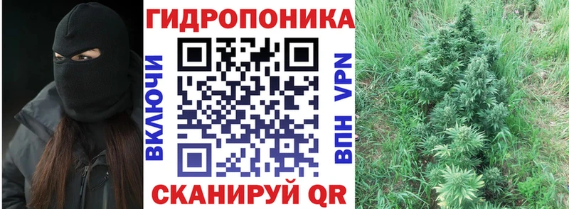 Каннабис индика  Купить где  Сим 